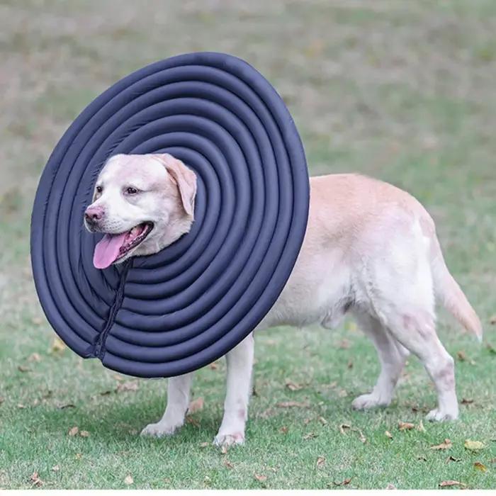 Colliers de protection pour chiens Elizabethan