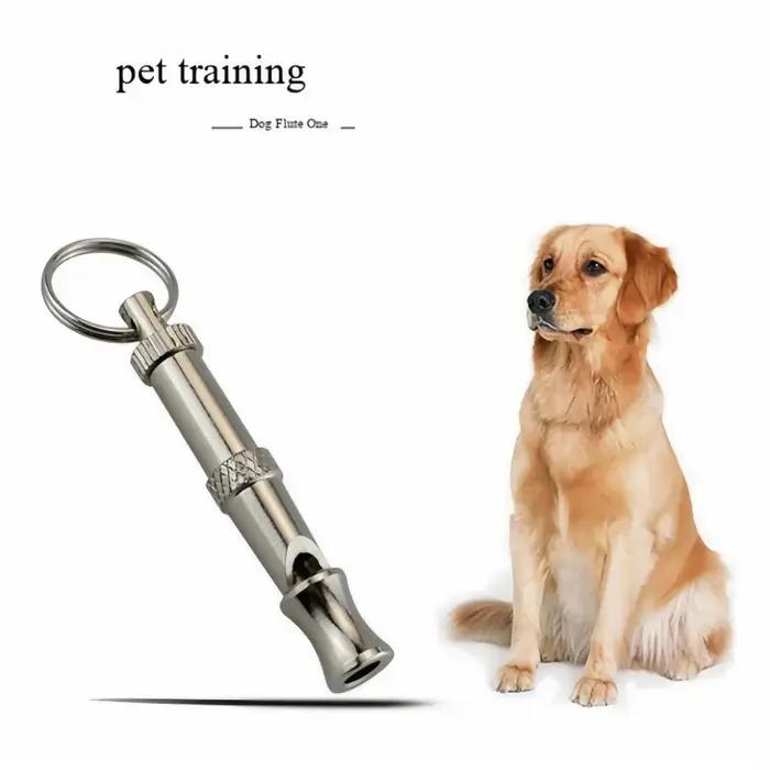 Sifflet à ultrasons pour chien