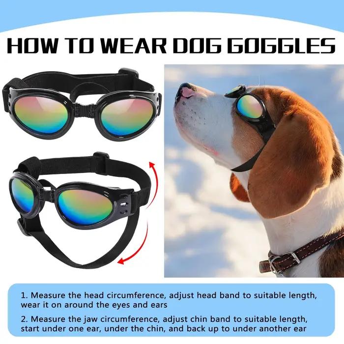 Lunettes de soleil pour chien