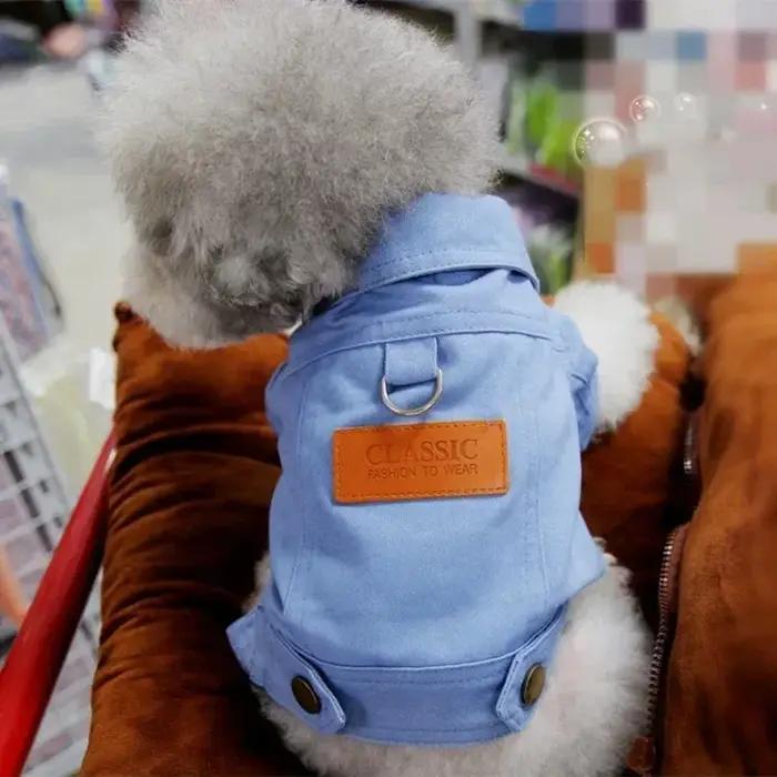Robe pour chien élégante pour petites races comme teckels, chiots et Corgis, vêtement de chien pour tous les jours et événements spéciaux
