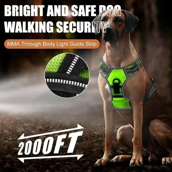Harnais lumineux LED pour chien sécurité nocturne modes d'éclairage rechargeable confortable pour promenade chiens occasions spéciales