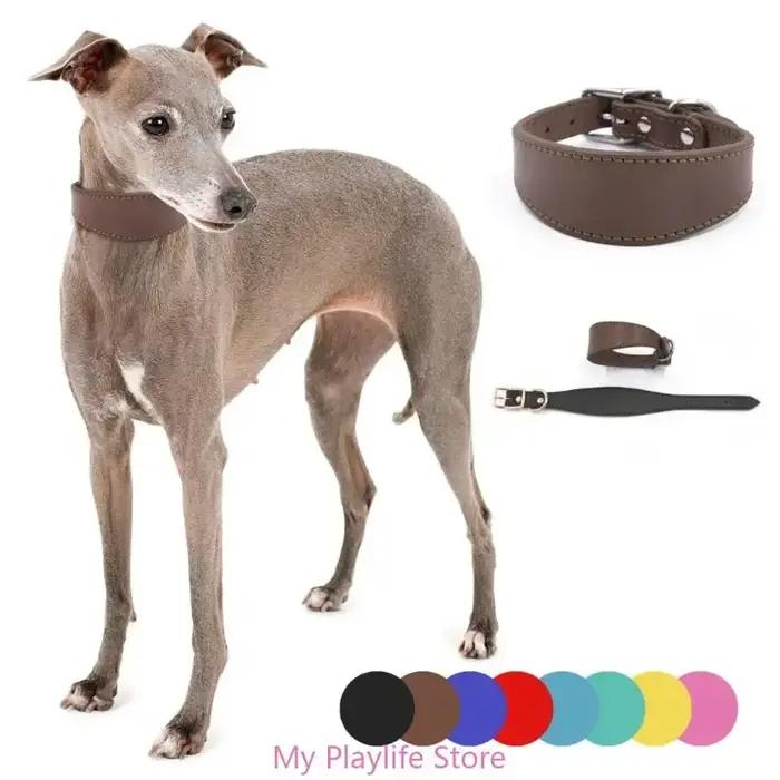Whippet-Collier Large en Cuir Souple et Daim pour Chien