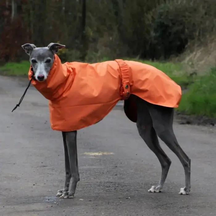 Veste imperméable pour chiens en polyester confortable et respirante pour sorties et promenades en plein air en été et en hiver