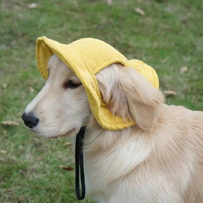 Casquette de baseball ajustable pour grands chiens