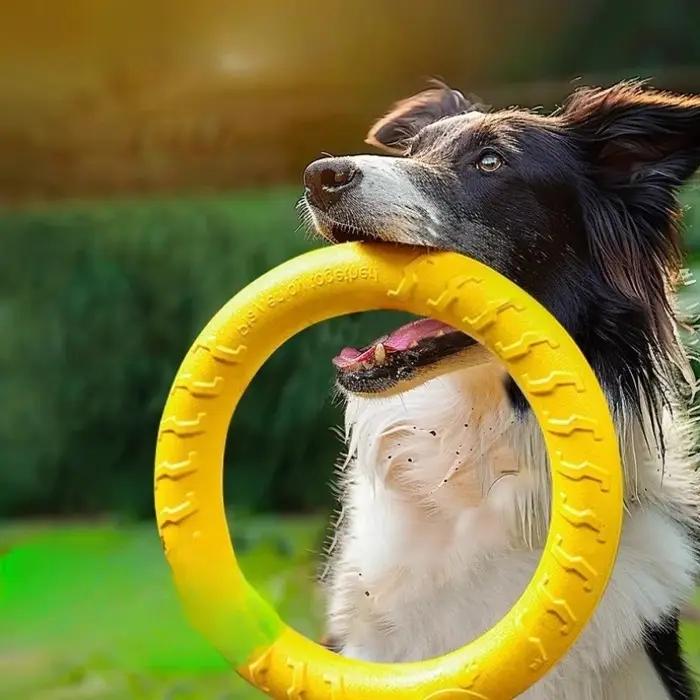 Jouets pour chiens : Anneaux indestructibles pour la mastication