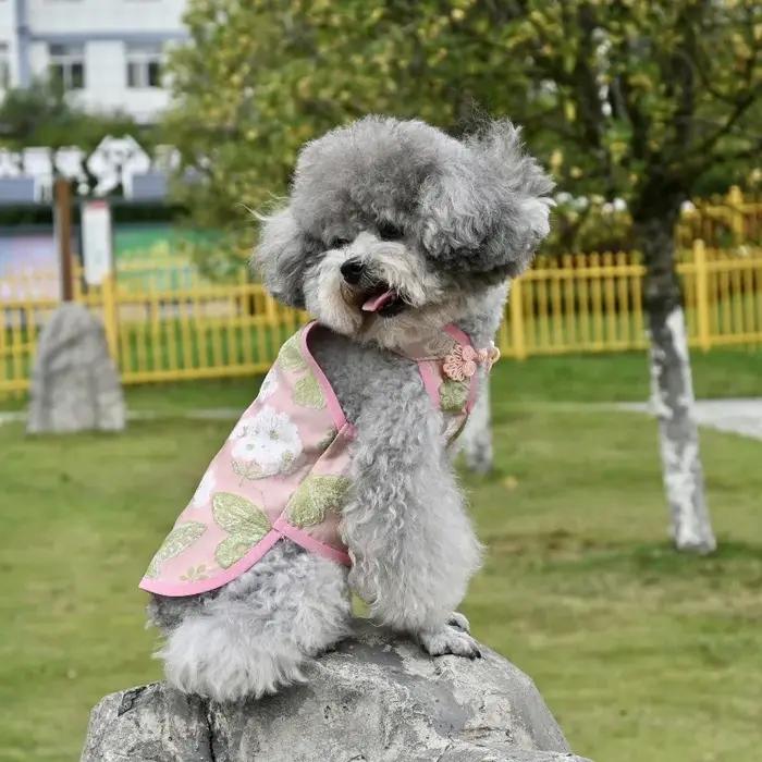 Costume Cheongsam de style chinois pour animaux de compagnie