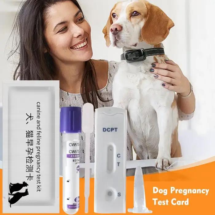 Kit de Test de Grossesse pour Chien à Usage Domestique Convient à Tous les Chiens Occasions de Surveillance de Santé Familiale et Professionnelle