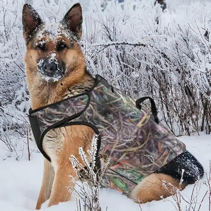 Poitrine en néoprène réglable pour la chasse au chien