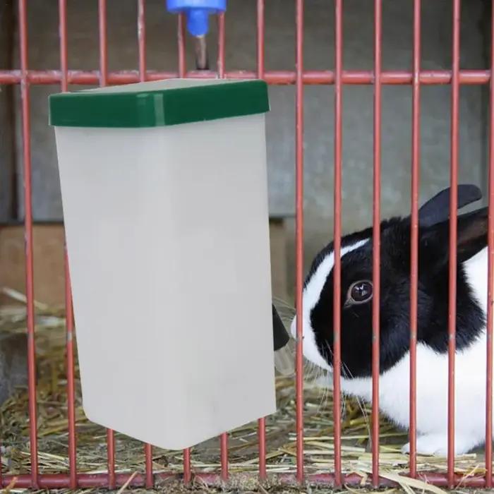 Abreuvoir pour animaux de compagnie, distributeur de bouteilles d'eau, mangeoire suspendue pour chien, cochon d'inde, écureuil, lapin, tête de boisson, fontaine, fournitures pour animaux de compagnie