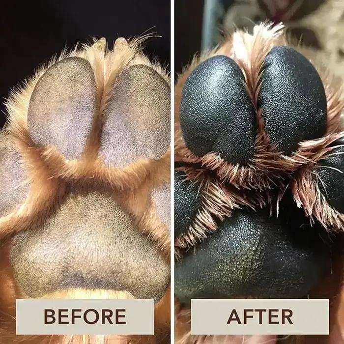 Crème de soin des pattes pour chiens baume protecteur graines de tournesol cire d'abeille blanche soulagement fissures peau irritation protection durable occasions spéciales