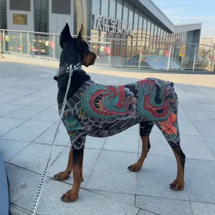 Vêtements pour chien, t-shirt pour animaux de compagnie