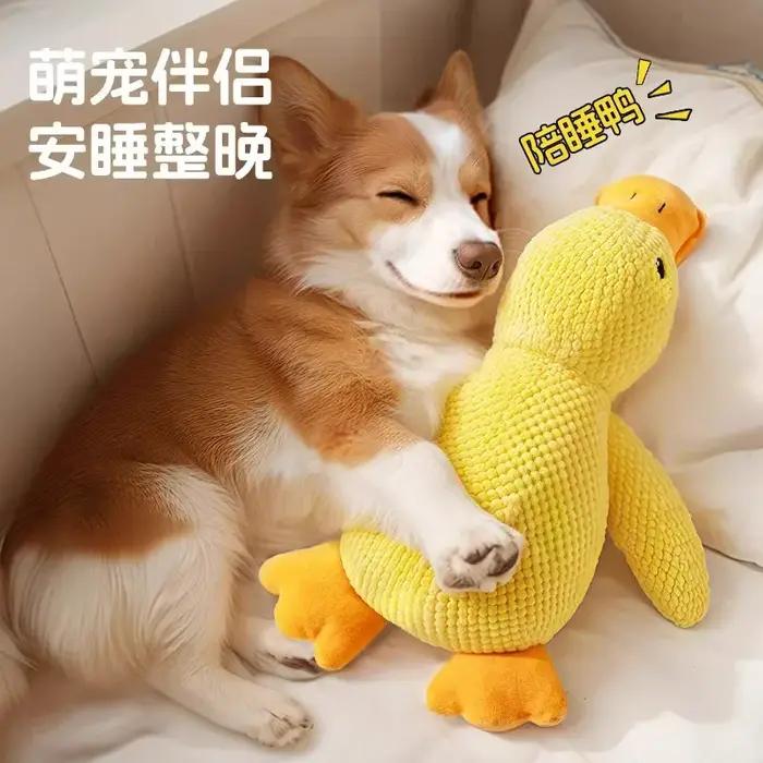 Jouet en peluche canard jaune interactif pour animaux de compagnie pour soulager l'ennui et favoriser la socialisation et l'activité physique occaions spéciales et quotidiennes