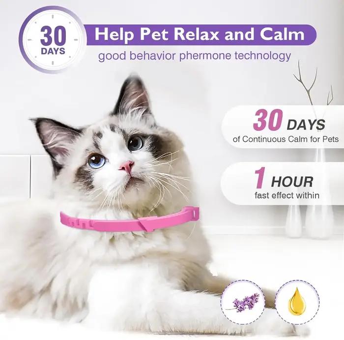 Colliers apaisants à phéromone pour chiens et chats soulageant l'anxiété ajustables pour tous les âges et tailles d'animaux occasions spéciales
