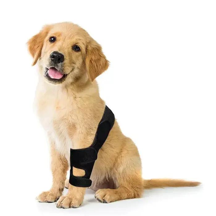 Attelle de Soutien Ajustable pour Hanches et Jambes de Chien avec Support en Acier et Bande en Caoutchouc Chloroprène