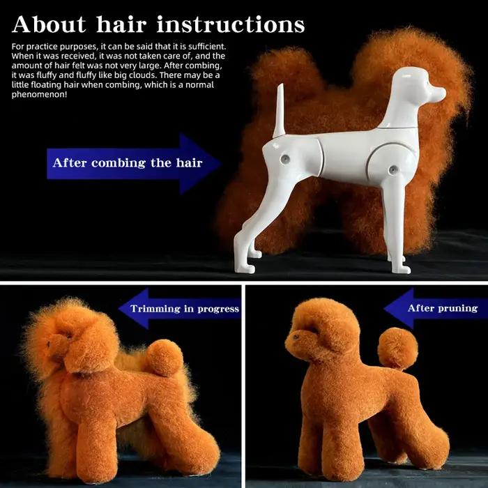 Tête de mannequin Teddy pour simulation de toilettage