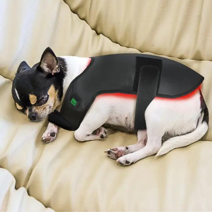 Appareil de physiothérapie à LED à lumière rouge pour animaux de compagnie