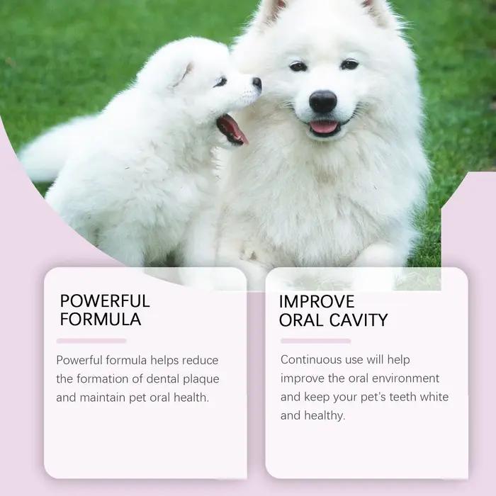 Spray pour dents d'animaux recommandés par les vétérinaires – Dissolves du tartre et prévient le calcul