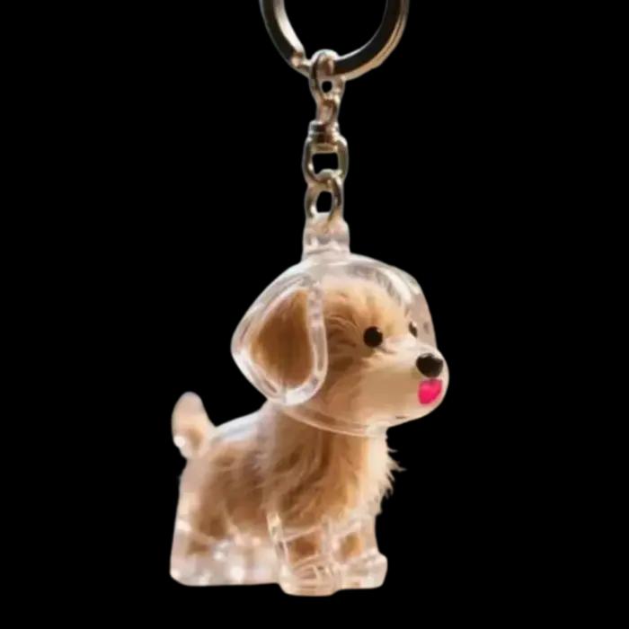 Boîte de rangement de poils de chien en forme de chien, toilettage de cheveux, porte-clés Transparen