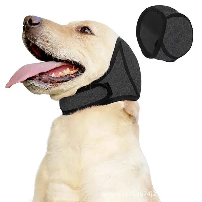 Réduction du bruit pour chien