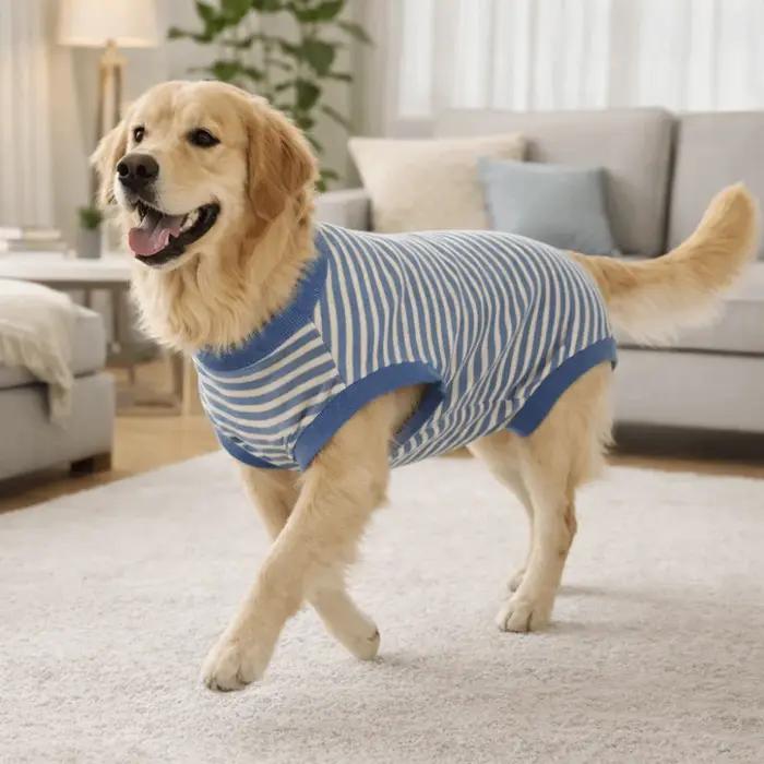 Combinaison pour chien
