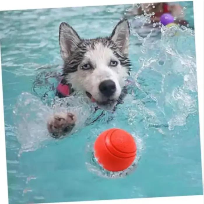 Balle en caoutchouc résistante pour chiens rouge pour chiots et grands chiens occasions de jeu et cadeaux pour animaux de compagnie