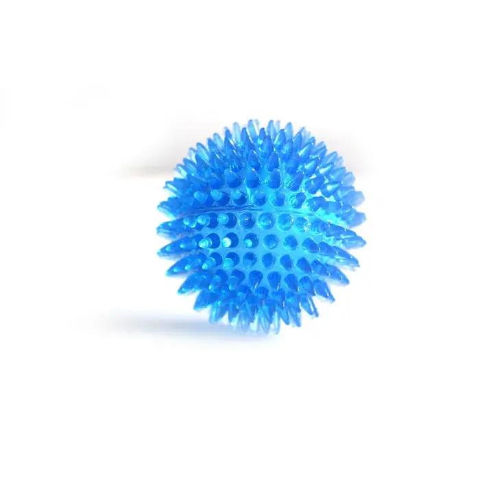 Balle sonore TPR à picots pour animaux de compagnie, jouet interactif pour chiens et chats, pour la