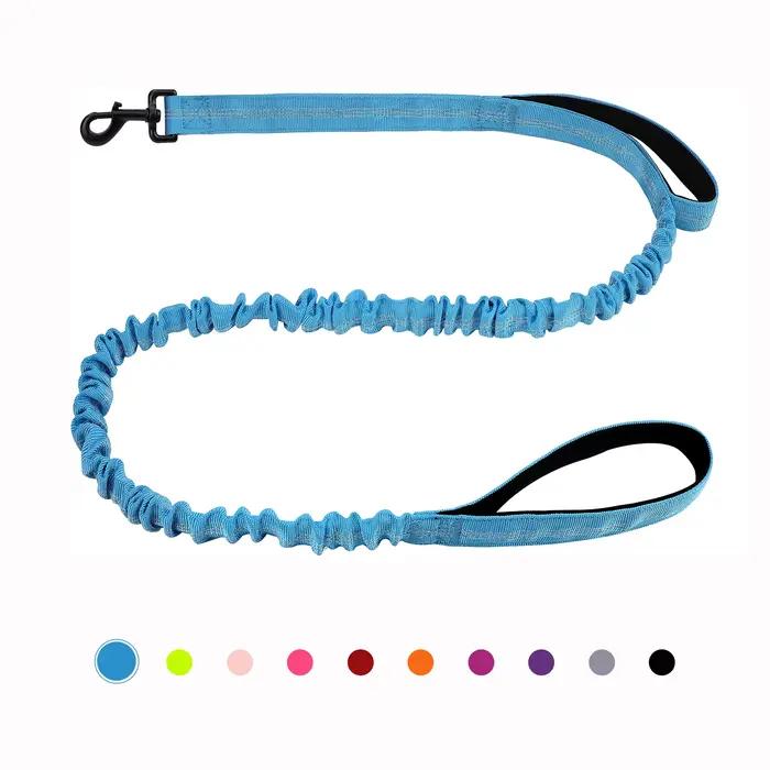 Laisse pour chien élastique