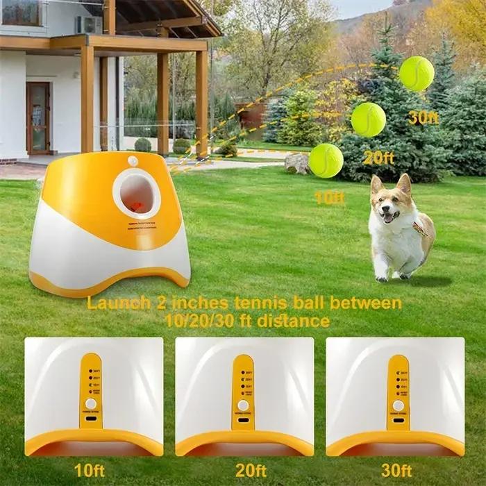Lanceur de Tennis automatique pour chiens