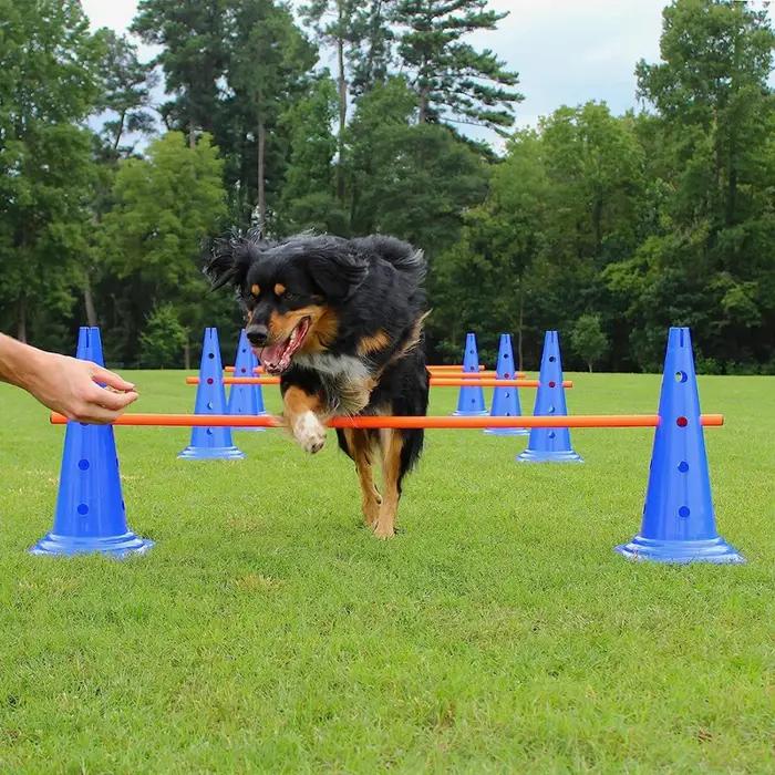 Entrainement d'agilité pour chiens ensemble barre de saut obstacle entrainement équipement agilité chiens violet noir occasions spéciales