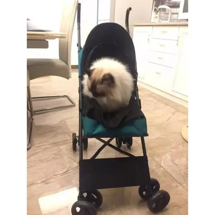 Poussette pour animaux de compagnie, petite et moyenne taille, pour chiens et chats, légère, détachable, pliable, à la mode, chariot de transport de voyage en plein air