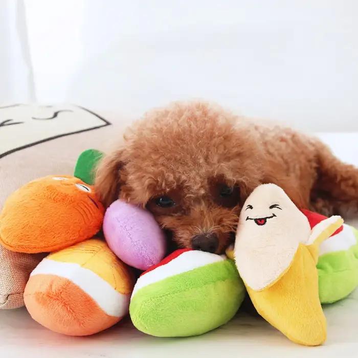 Jouets à mâcher résistants aux morsures pour chiots