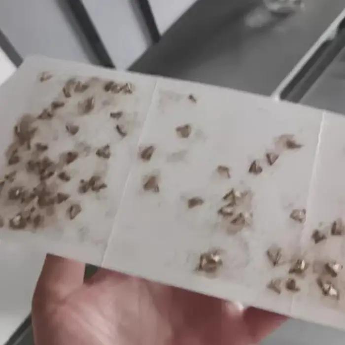 (HMA23) Pièges à mites adhésifs pour cuisine et vêtements avec phéromones