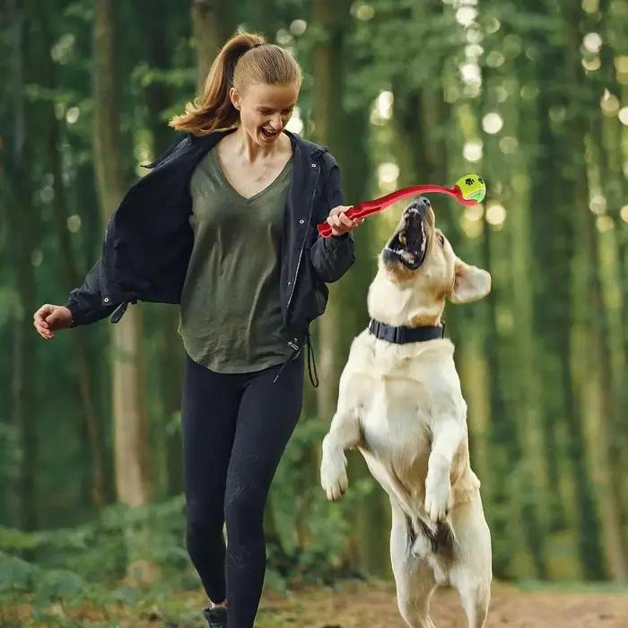 Lanceur de balle de tennis pour animaux de compagnie en plastique pour chiens, jeux de plein air, entraînement et récupération balles de sport pour chiens occasions spéciales