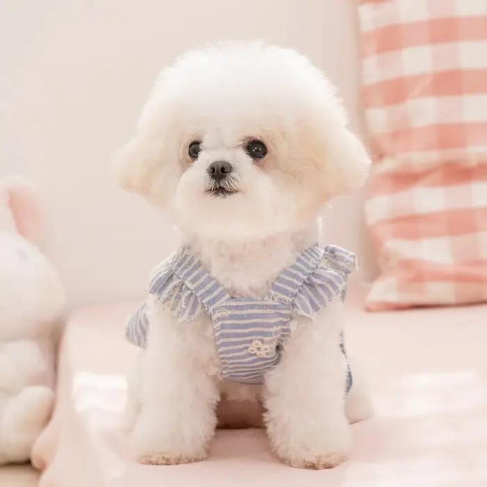 Robes pour animaux de compagnie de style japonais