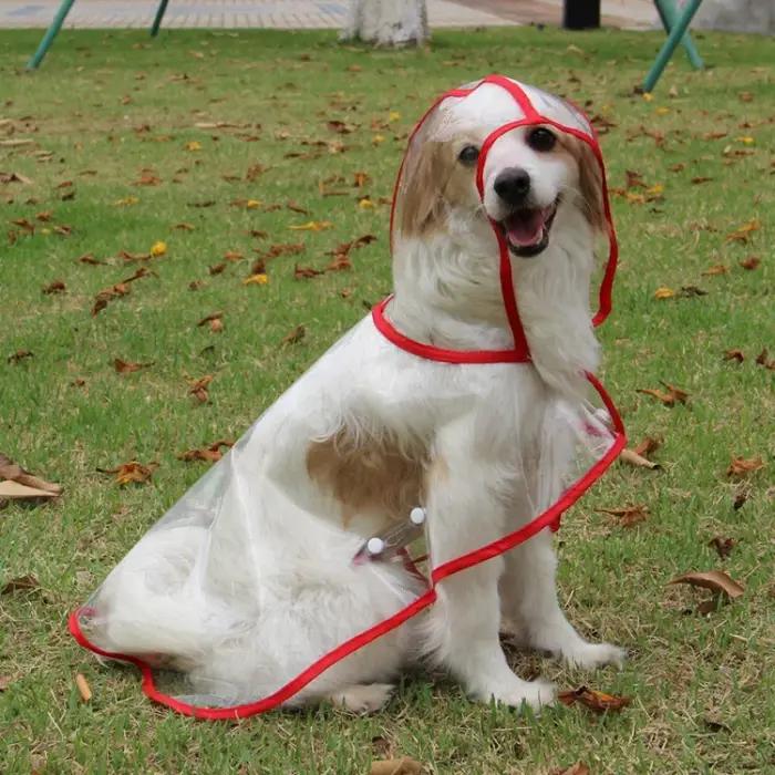 Manteau de pluie solide pour chiens de petite et moyenne taille