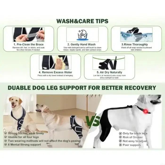 Conception respirabilité Tutamen hanche chien pour actif avec des ceintures soutien régulées Y5GB