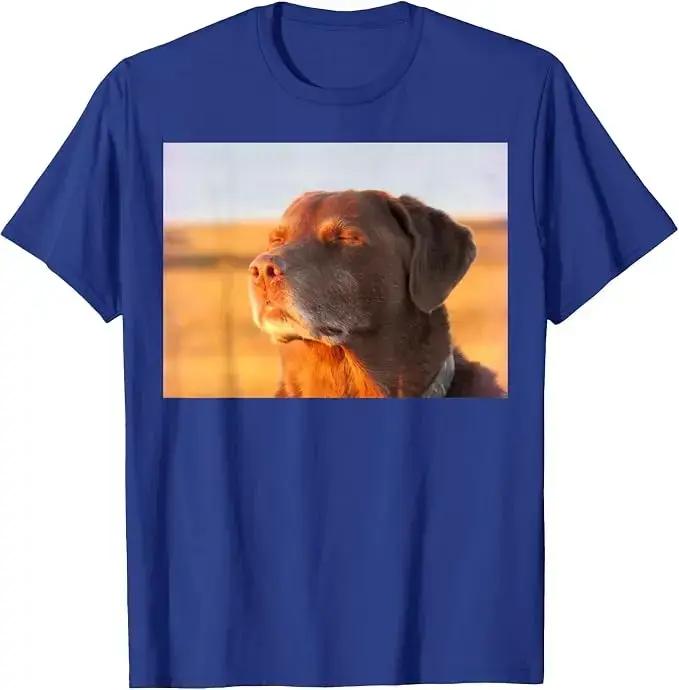 T-shirt amusant avec un motif de chien, un labrador retriever et un slogan humoristique, style Y2K, idéal pour les amoureux des chiens, vêtement graphique à manches courtes, t-shirt en coton doux, t-s
