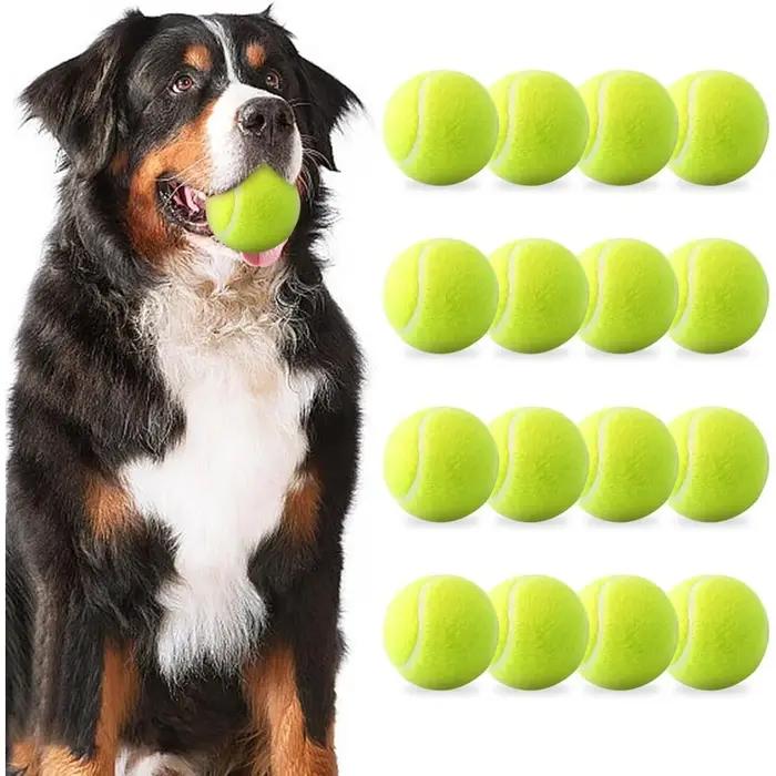 Balles de tennis pour chiens