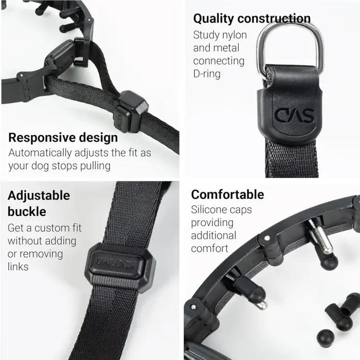 Ensemble de colliers de dressage professionnels pour chiens