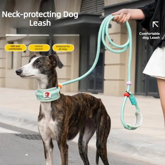 Laisse de traction pour chien de 1,8 m avec protection de cou, laisse de promenade multifonctionnelle pour chiens de taille moyenne à grande, laisse pour lévrier, accessoires pour chiens