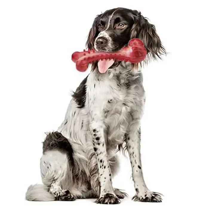 Jouets pour chiens, affûtage des dents