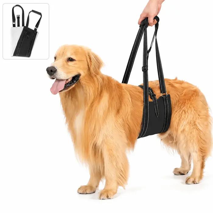 Harnais de levage réglable pour chiens support de pattes arrière aide à la mobilité pour chiens âgés assistance confortable pour chiens avec problèmes de pattes arrière