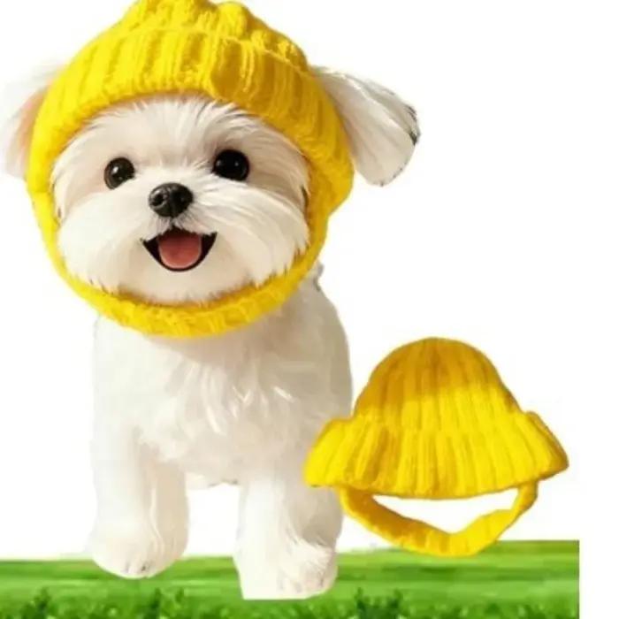 Bonnet pour chien en tricot doux et confortable