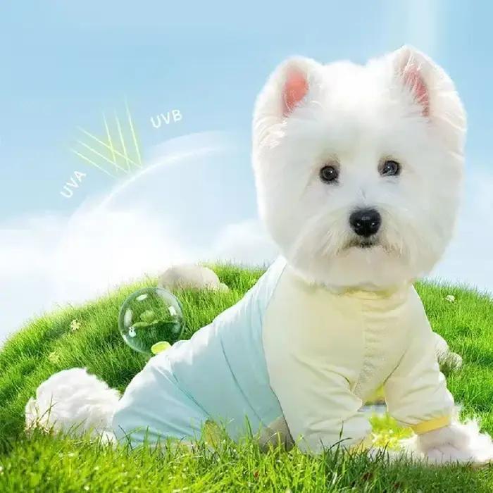 Veste en fibre respirante anti-UV pour chiens printemps été balade en plein air sécurité confort occasionnels