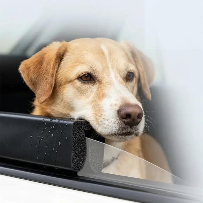 Coussin repose-tête pour fenêtre de voiture pour chiens de petite et moyenne taille – Support de voyage