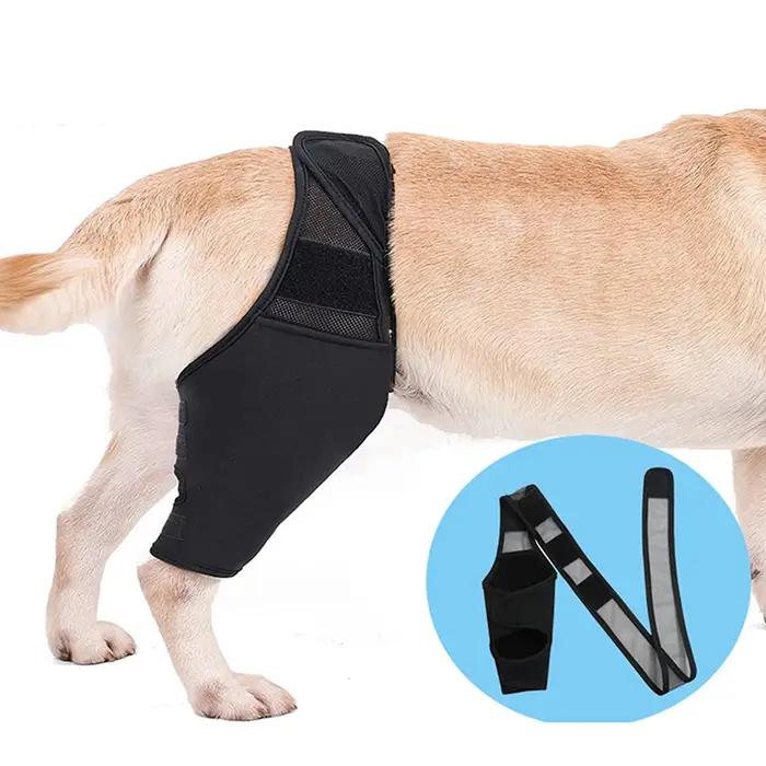 Genouillères de soutien pour chiens de récupération post-opératoire, protection articulaire et maintien du confort pour chiens de différentes races et tailles