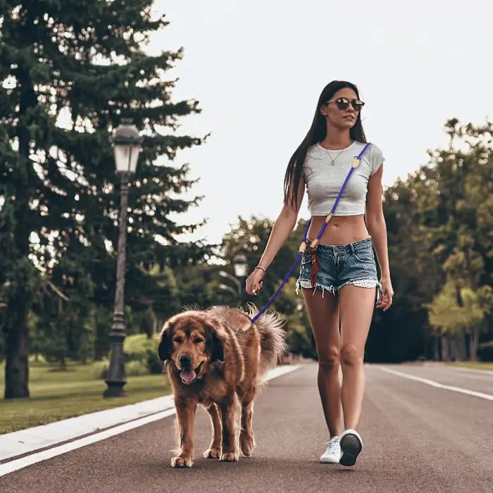 Laisse double en nylon de luxe pour chiens de taille moyenne - mains libres, réglable, multicolore pour balades en famille