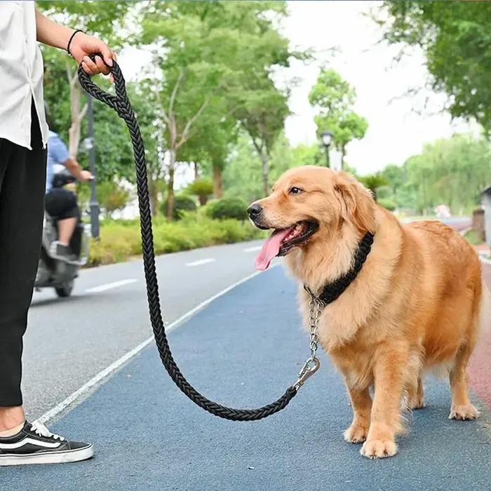 Laisse pour chien de grande taille