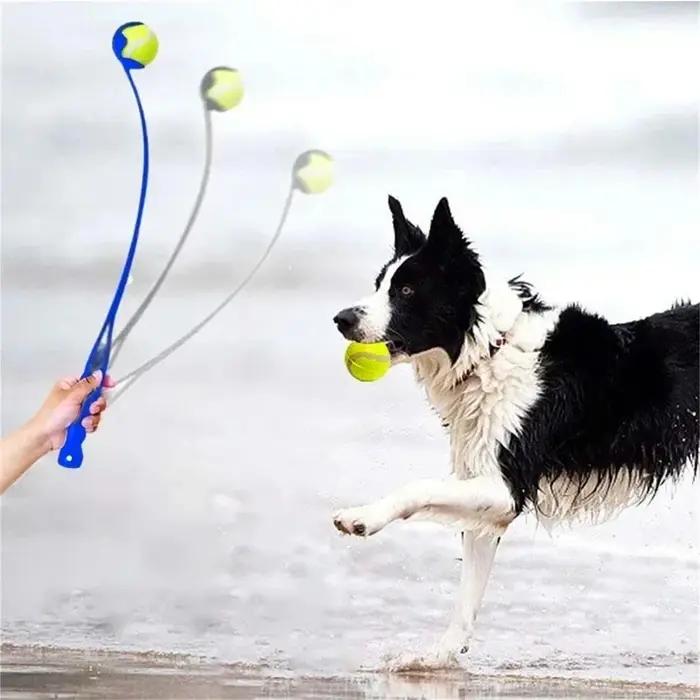 Ensemble de lanceur de balle de Tennis pour animaux de compagnie