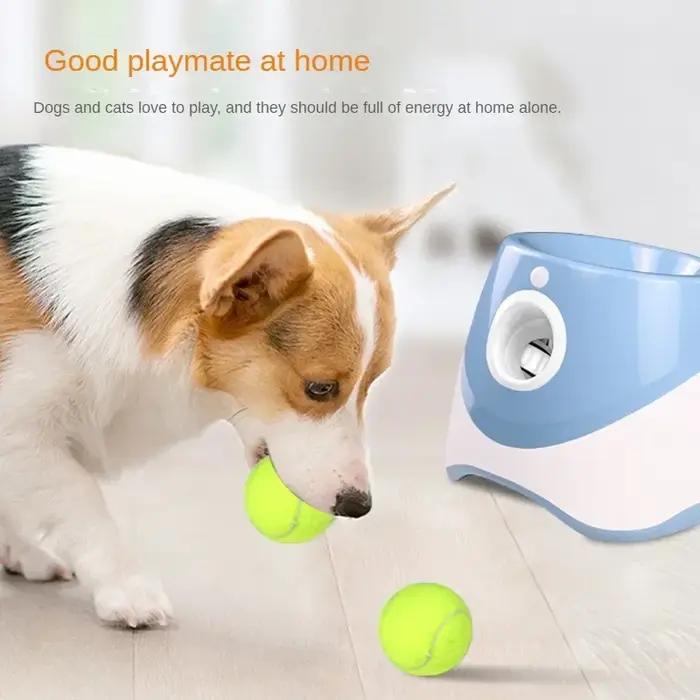 Lanceur de Tennis automatique pour chiens